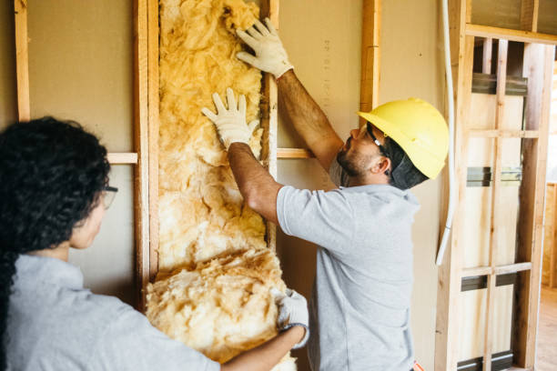 Best Affordable Insulation Services  in Lockhart, FL